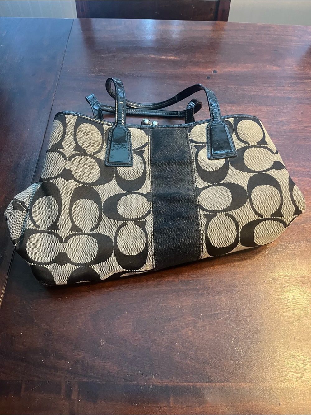 Coach Canvas Signature Tote in Khaki and Black